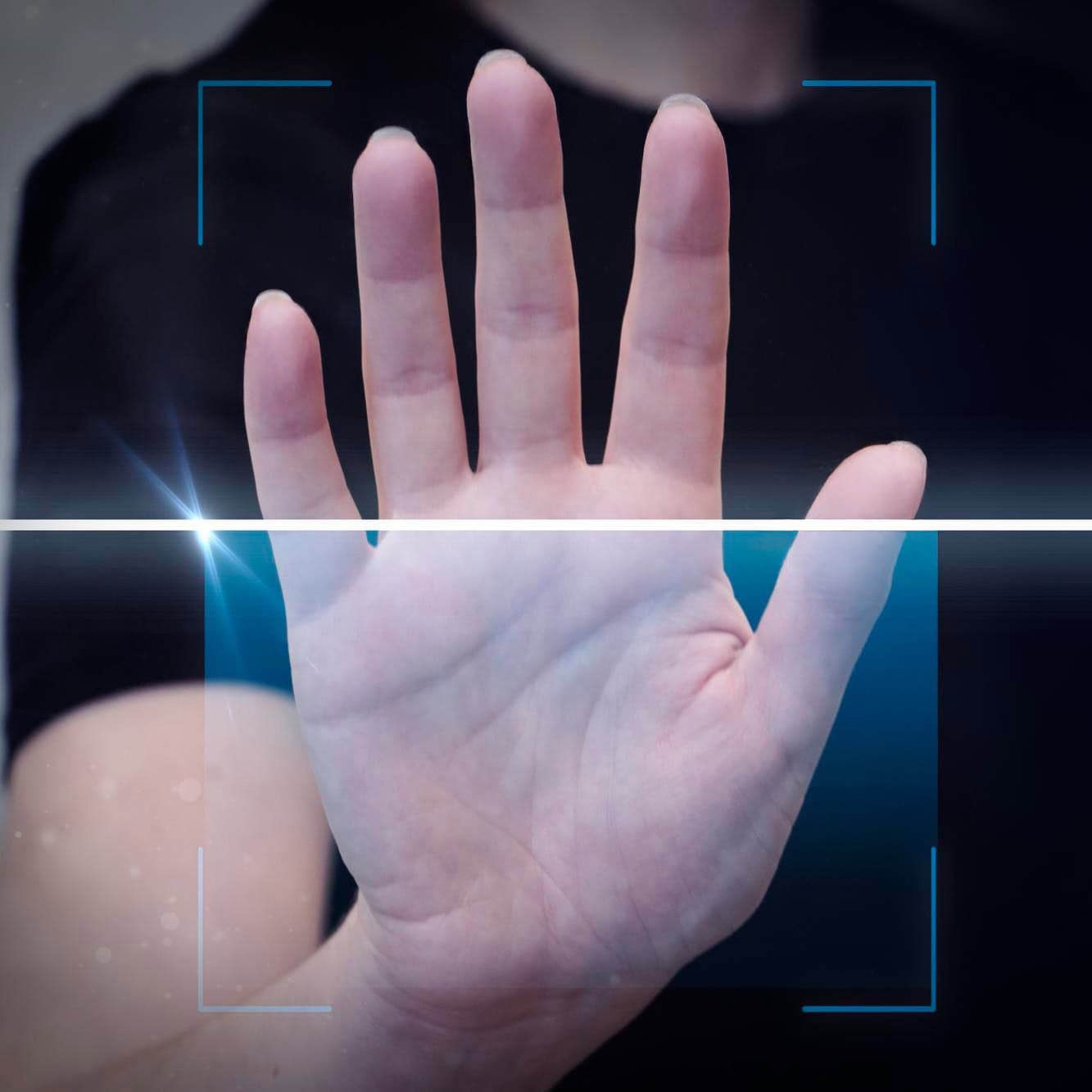 Palm Recognition
